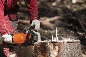 worker cutting the stump