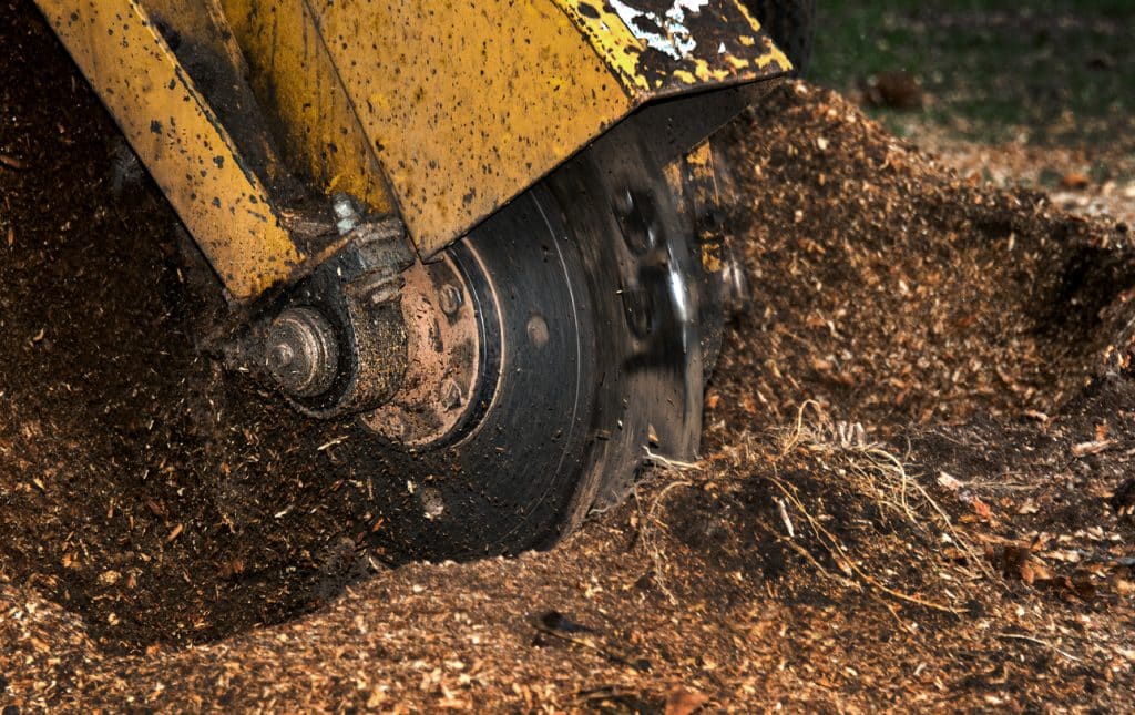 Tree Stump Grinding