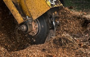 Tree Stump Grinding